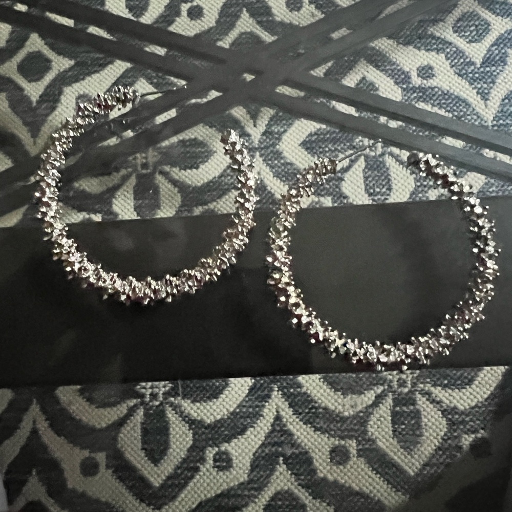 Elegant Silver Hoop Earrings